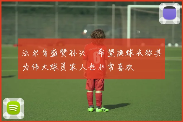 法尔肯盛赞孙兴慜希望换球衣称其为伟大球员家人也非常喜欢