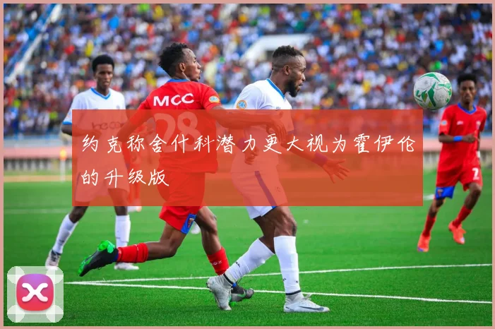 约克称舍什科潜力更大视为霍伊伦的升级版