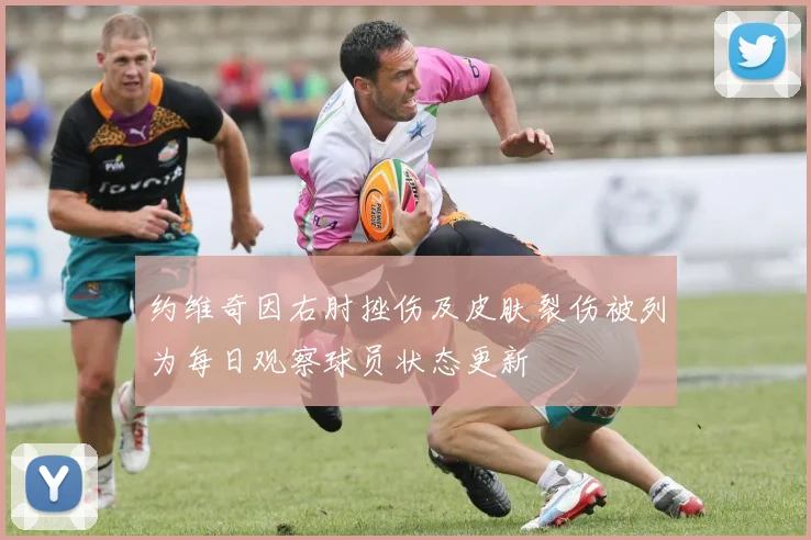 约维奇因右肘挫伤及皮肤裂伤被列为每日观察球员状态更新